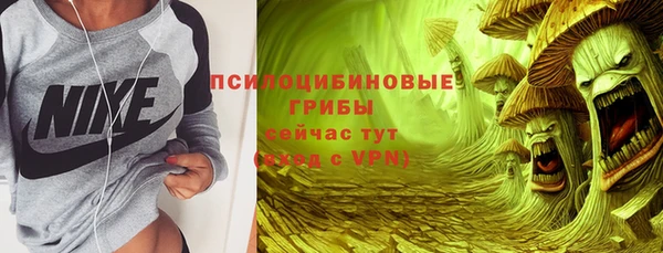 гашик Алзамай