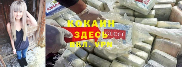 гашик Алзамай