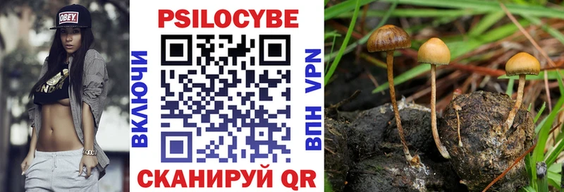 Псилоцибиновые грибы Cubensis  МЕГА зеркало  Асбест 